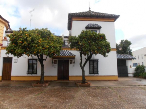 Apartamento Plaza de Toros